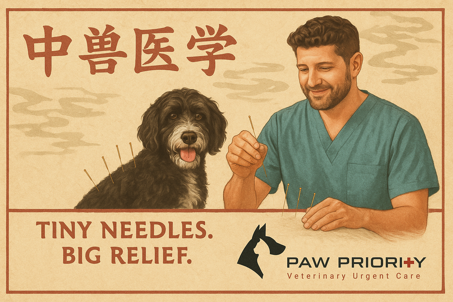 Veterinary Acupuncture: What’s the Point?