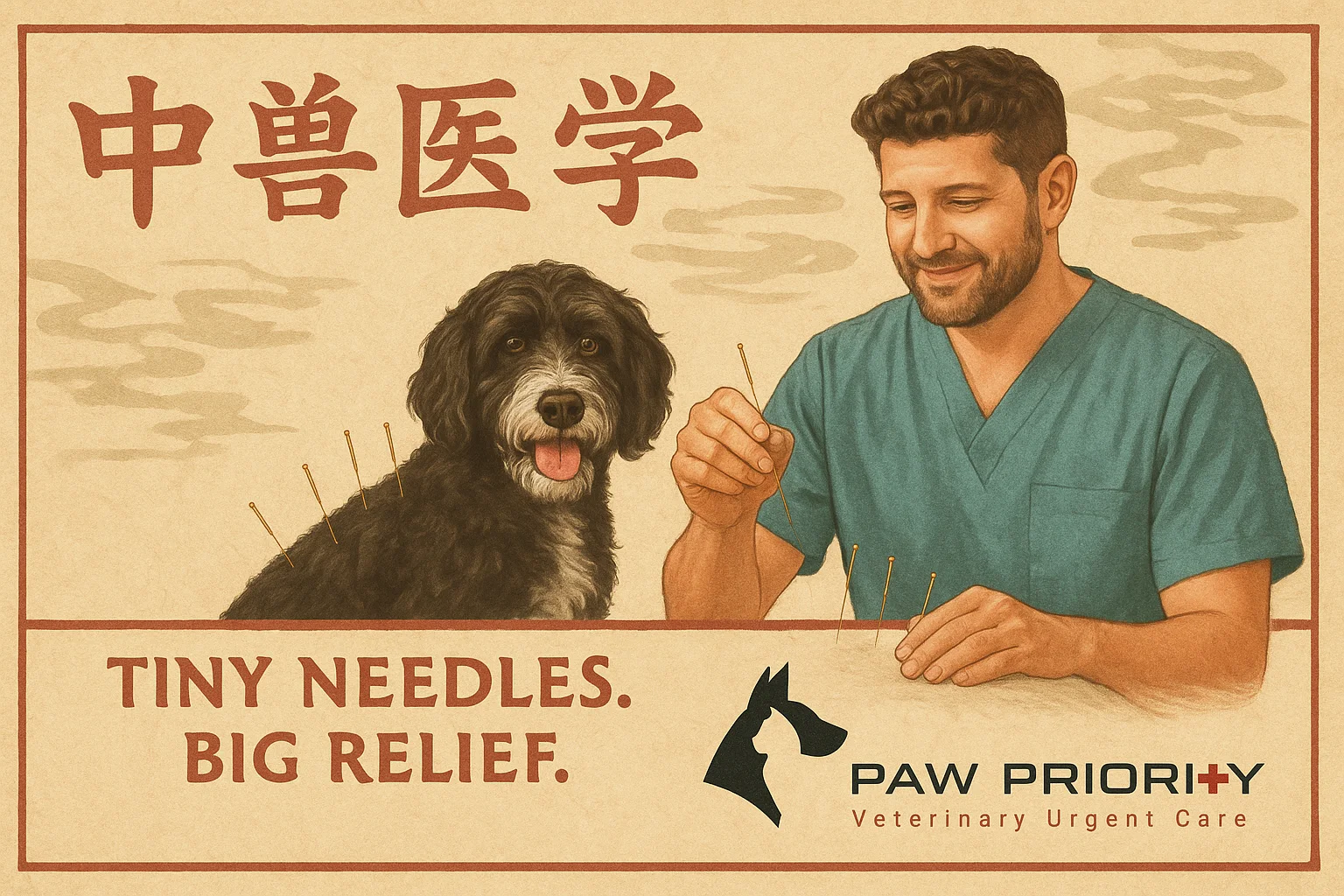 Veterinary Acupuncture: What’s the Point?
