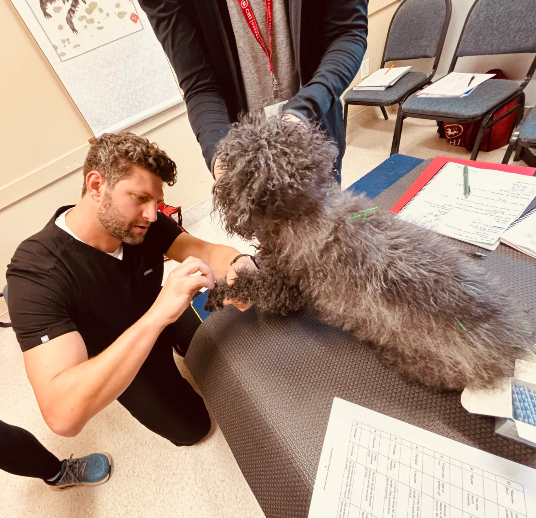 Dr. Ameis at Chi University acupuncture training